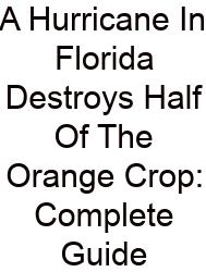 A Hurricane In Florida Destroys Half Of The Orange Crop: Complete Guide
