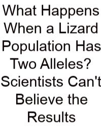 What Happens When A Lizard Population Has Two Alleles? Scientists Can't Believe The Results