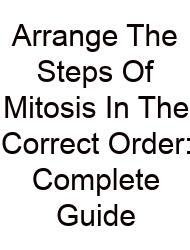 Arrange The Steps Of Mitosis In The Correct Order: Complete Guide