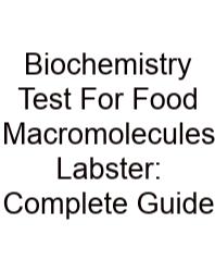 Biochemistry Test For Food Macromolecules Labster: Complete Guide