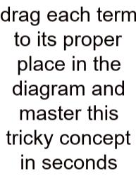 Drag Each Term To Its Proper Place In The Diagram And Master This Tricky Concept In Seconds
