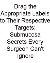 Drag The Appropriate Labels To Their Respective Targets: Submucosa Secrets Every Surgeon Can't Ignore