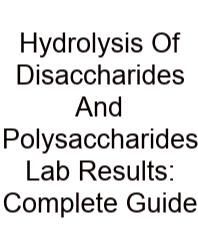 Hydrolysis Of Disaccharides And Polysaccharides Lab Results: Complete Guide