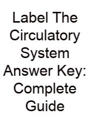 Label The Circulatory System Answer Key: Complete Guide