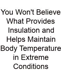 You Won't Believe What Provides Insulation And Helps Maintain Body Temperature In Extreme Conditions
