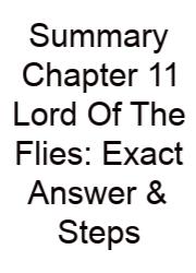 Summary Chapter 11 Lord Of The Flies: Exact Answer & Steps