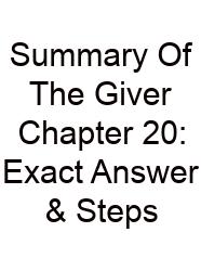 Summary Of The Giver Chapter 20: Exact Answer & Steps