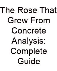 The Rose That Grew From Concrete Analysis: Complete Guide
